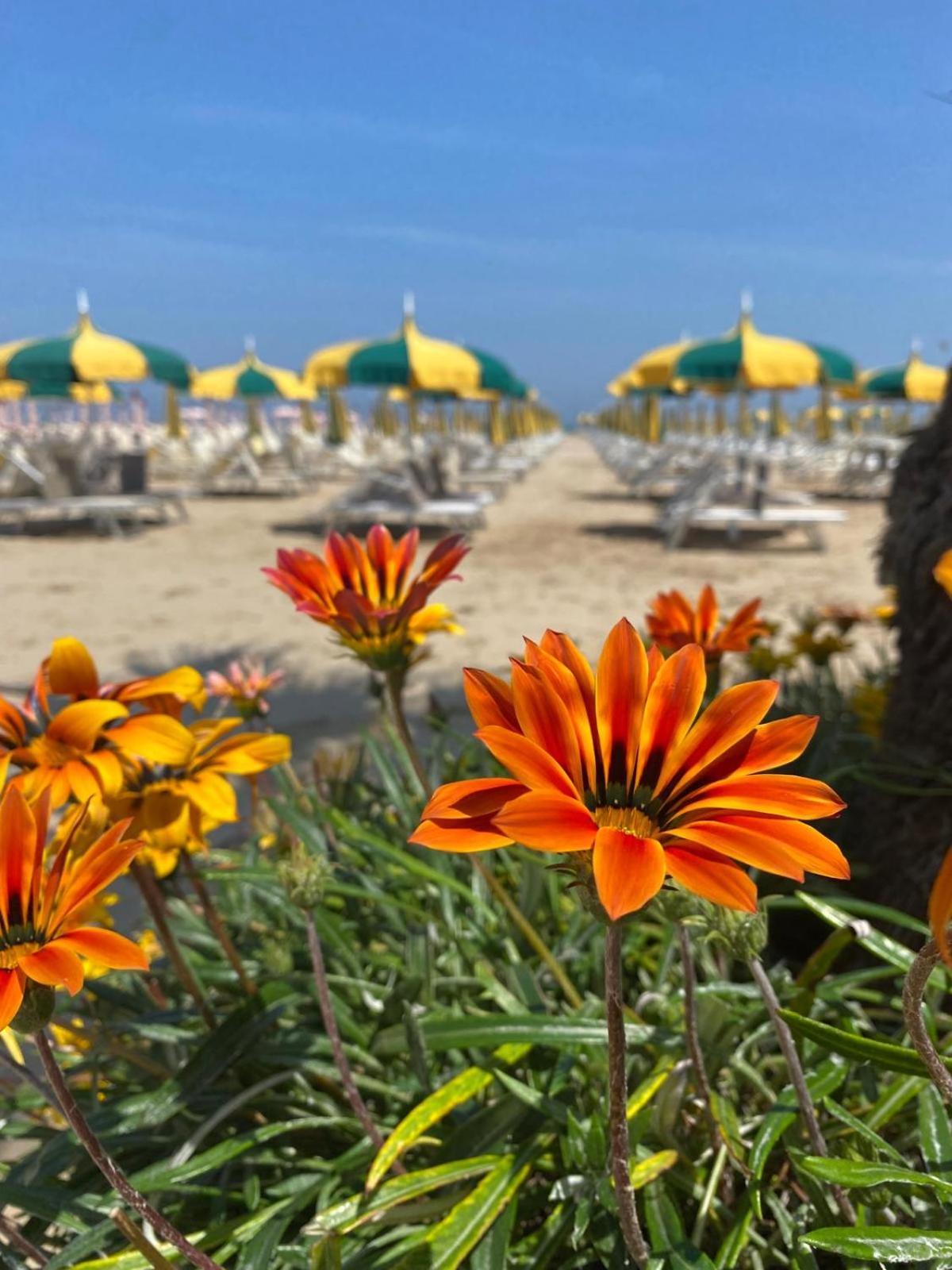 Rimini Bay Suites&Residence Exteriér fotografie