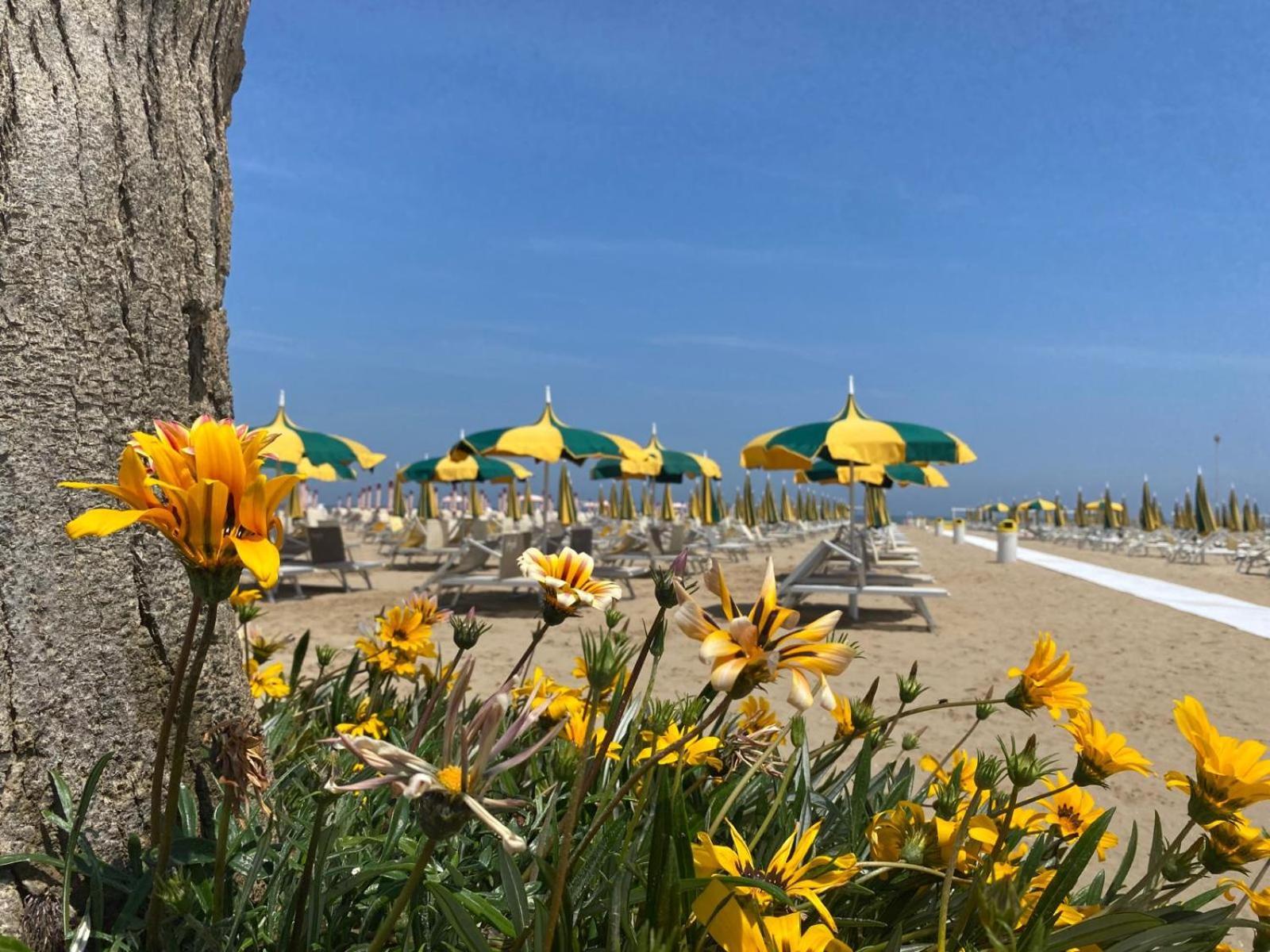 Rimini Bay Suites&Residence Exteriér fotografie